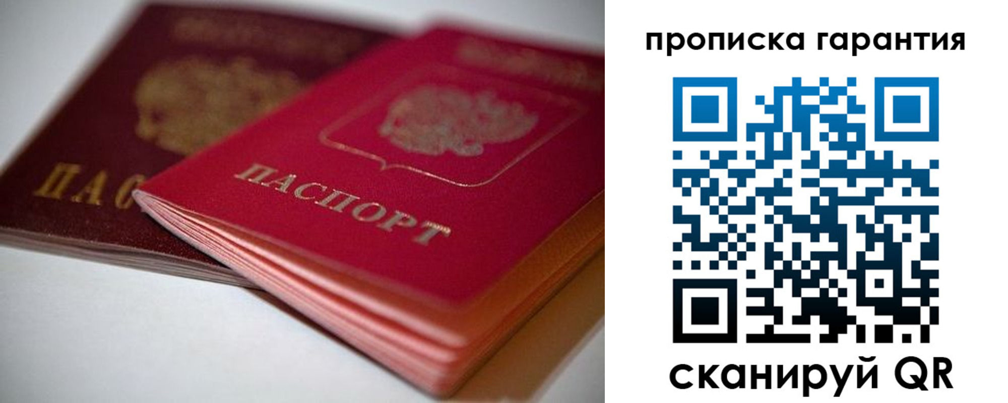 прописка в Кольчугино